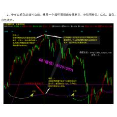 百年一人 全息未来线技术指标操作体系均线周期拐点涨跌真理 鼎砥股票全套录音(13集)赠笔记