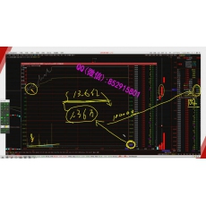 任春辉 主力盘口滤网启动逻辑跟庄交易技术 股票内部培训视频课程