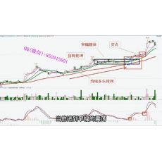 谭记恩 定式形态结构逻辑高胜率盈亏比本能交易 股票内部培训视频课程